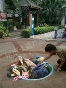 3d畫展，3D地板畫，3D墻畫，三d墻壁廣告景觀畫