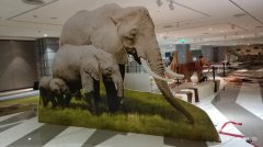 廣州做年會(huì)策劃價(jià)格低效果好找卡藍(lán)