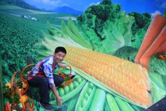 會議策劃設(shè)計師應(yīng)該只做好本份事情嗎？