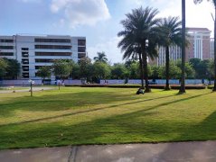 活動策劃執(zhí)行，背景板/墻搭建能夠鍛煉到什么？